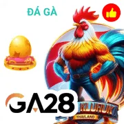 6zk Game 02